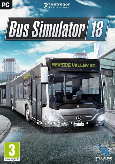bus simulator 18 side mirrirs lag