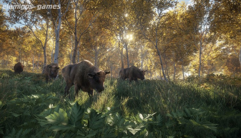 Download theHunter Call of the Wild